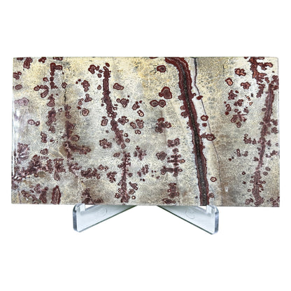 Natural Polished Picture Jasper Slab - Gem Avenue Retail