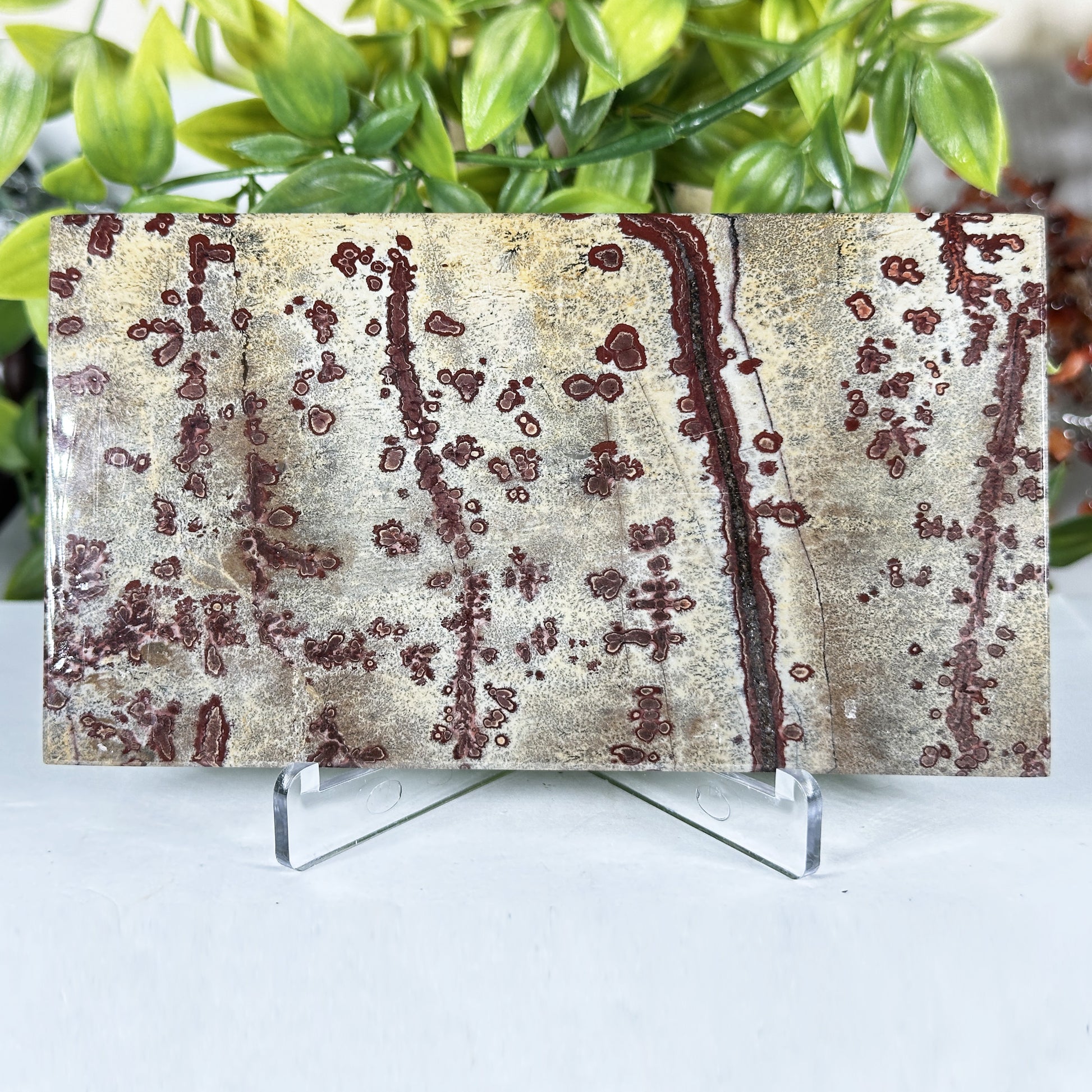 Natural Polished Picture Jasper Slab - Gem Avenue Retail