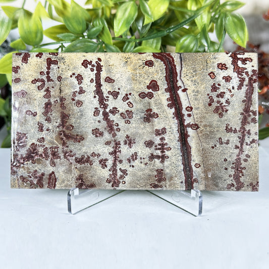 Natural Polished Picture Jasper Slab - Gem Avenue Retail