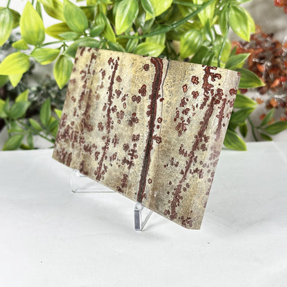Natural Polished Picture Jasper Slab - Gem Avenue Retail