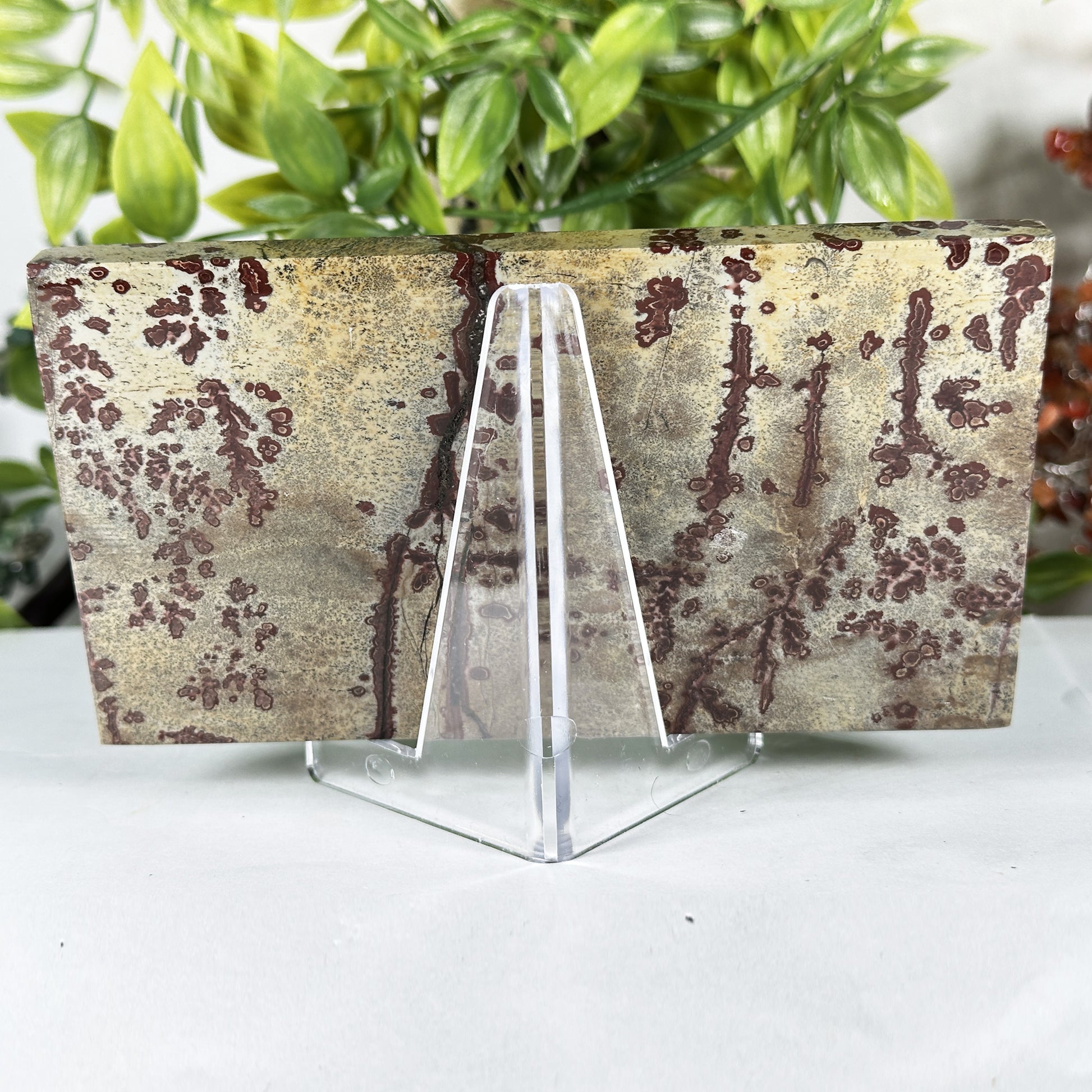 Natural Polished Picture Jasper Slab - Gem Avenue Retail
