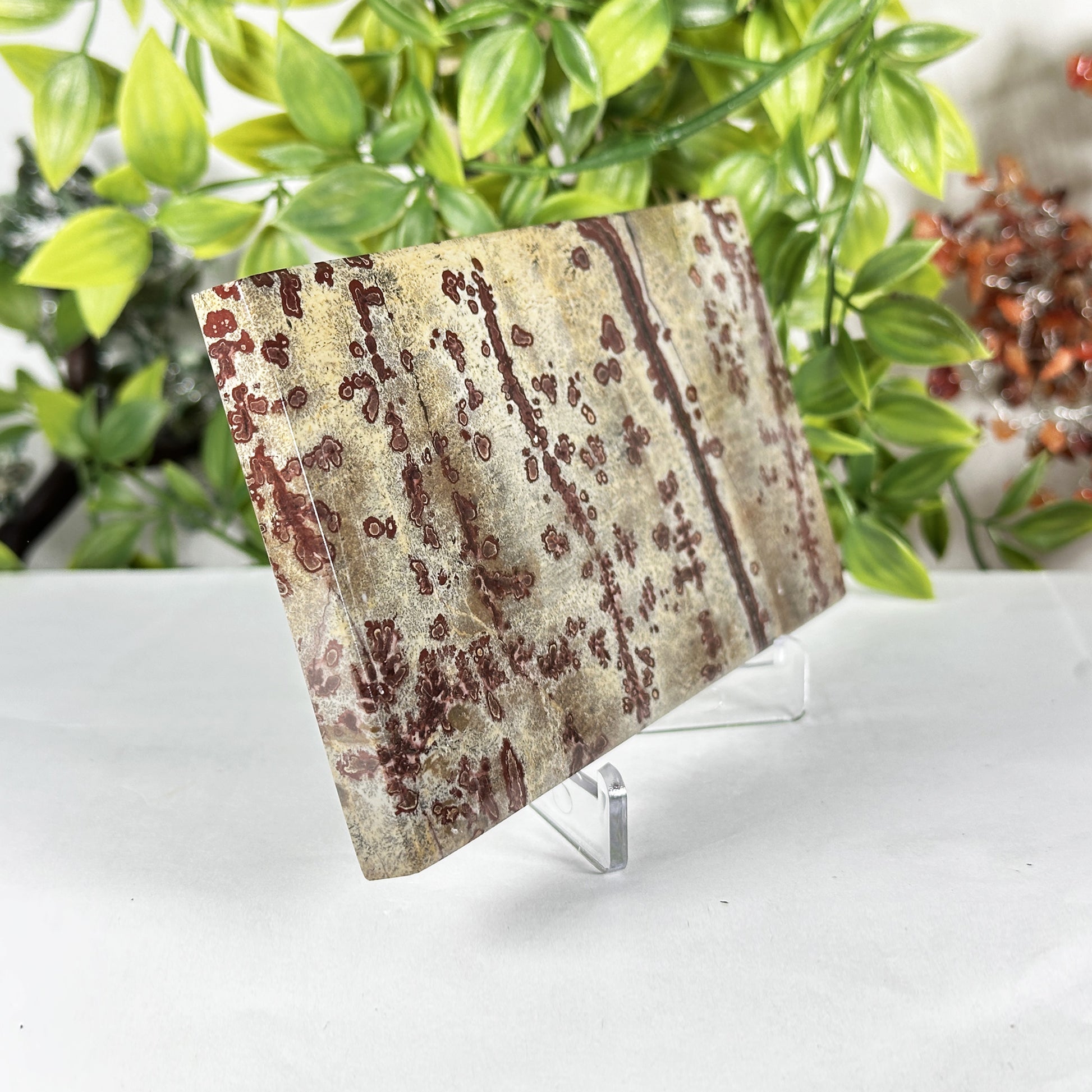 Natural Polished Picture Jasper Slab - Gem Avenue Retail