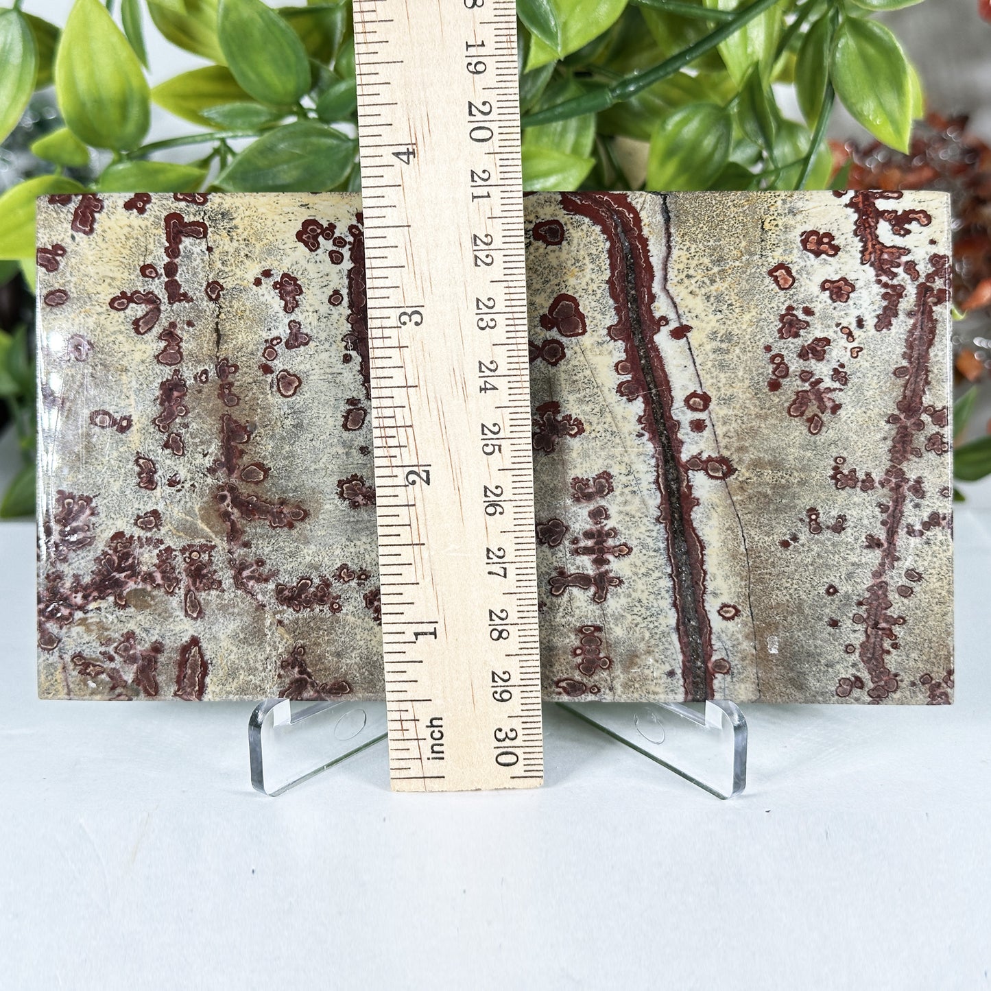 Natural Polished Picture Jasper Slab - Gem Avenue Retail