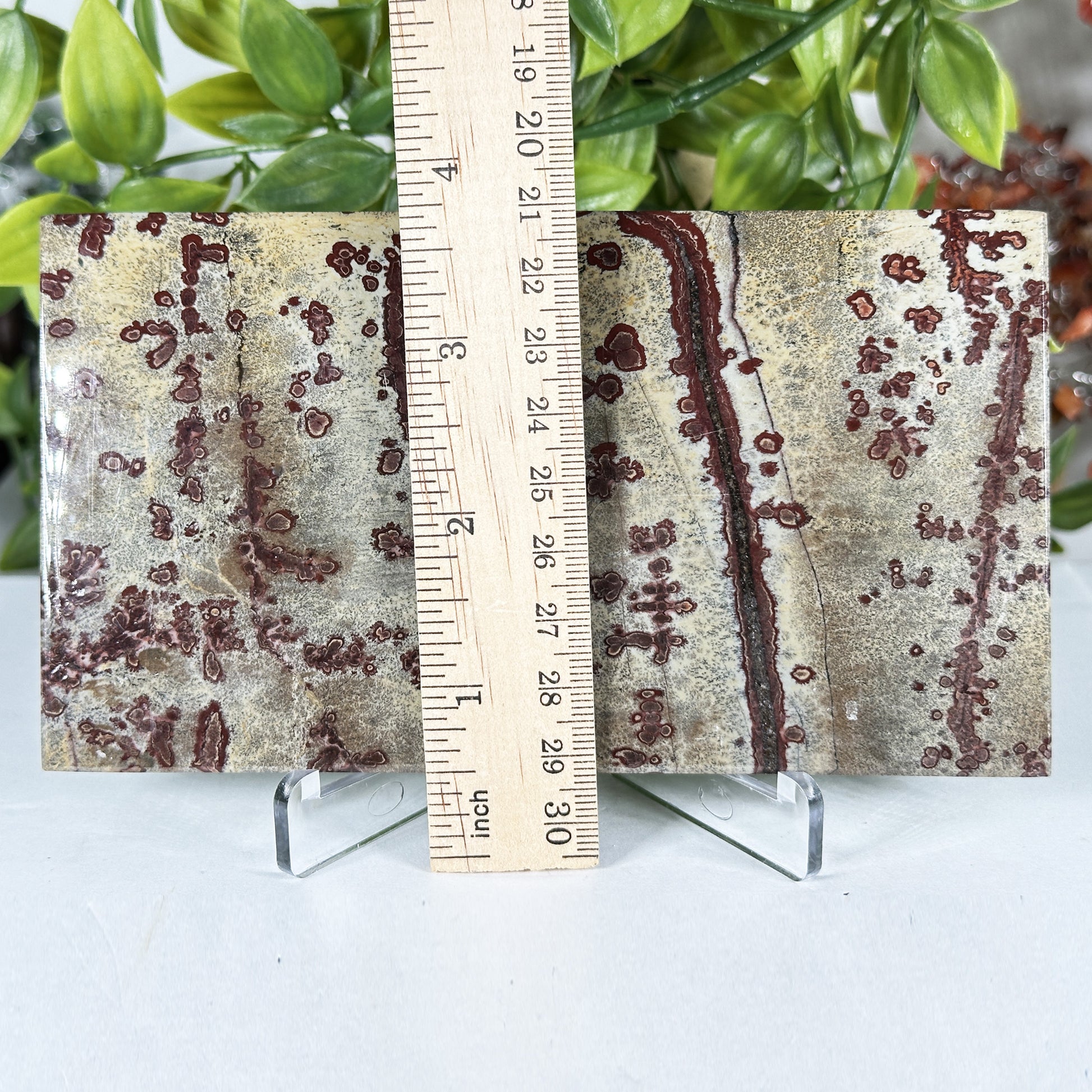 Natural Polished Picture Jasper Slab - Gem Avenue Retail