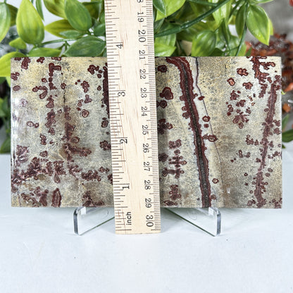 Natural Polished Picture Jasper Slab - Gem Avenue Retail