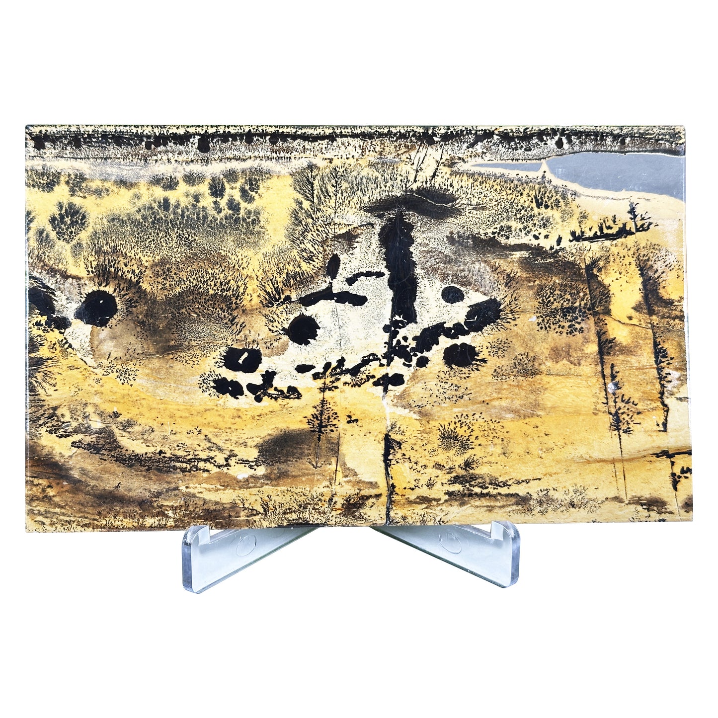 Natural Polished Picture Jasper Slab - Gem Avenue Retail