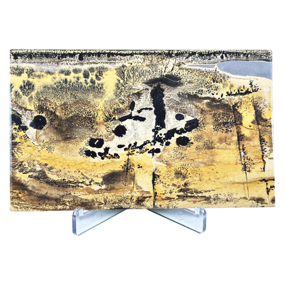 Natural Polished Picture Jasper Slab - Gem Avenue Retail