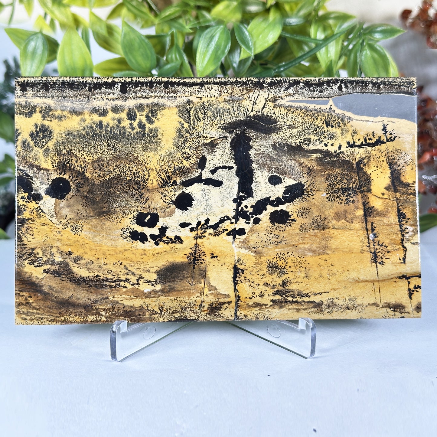 Natural Polished Picture Jasper Slab - Gem Avenue Retail