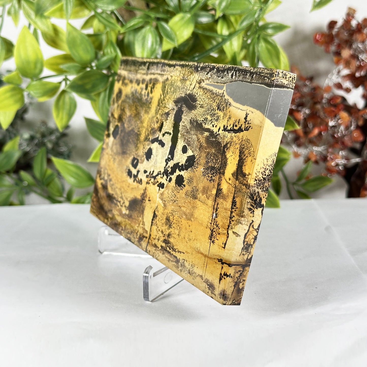 Natural Polished Picture Jasper Slab - Gem Avenue Retail