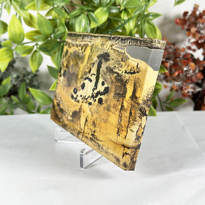 Natural Polished Picture Jasper Slab - Gem Avenue Retail