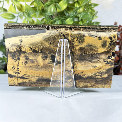 Natural Polished Picture Jasper Slab - Gem Avenue Retail