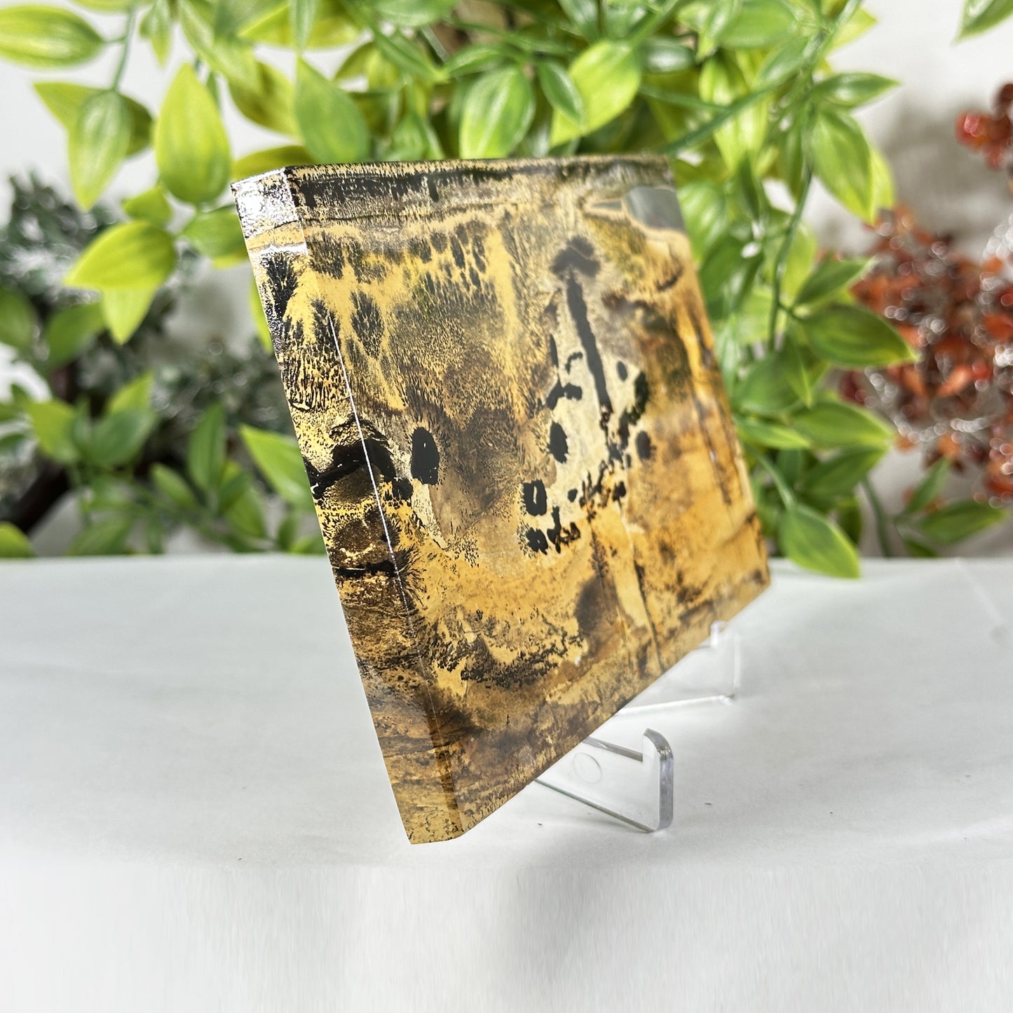 Natural Polished Picture Jasper Slab - Gem Avenue Retail