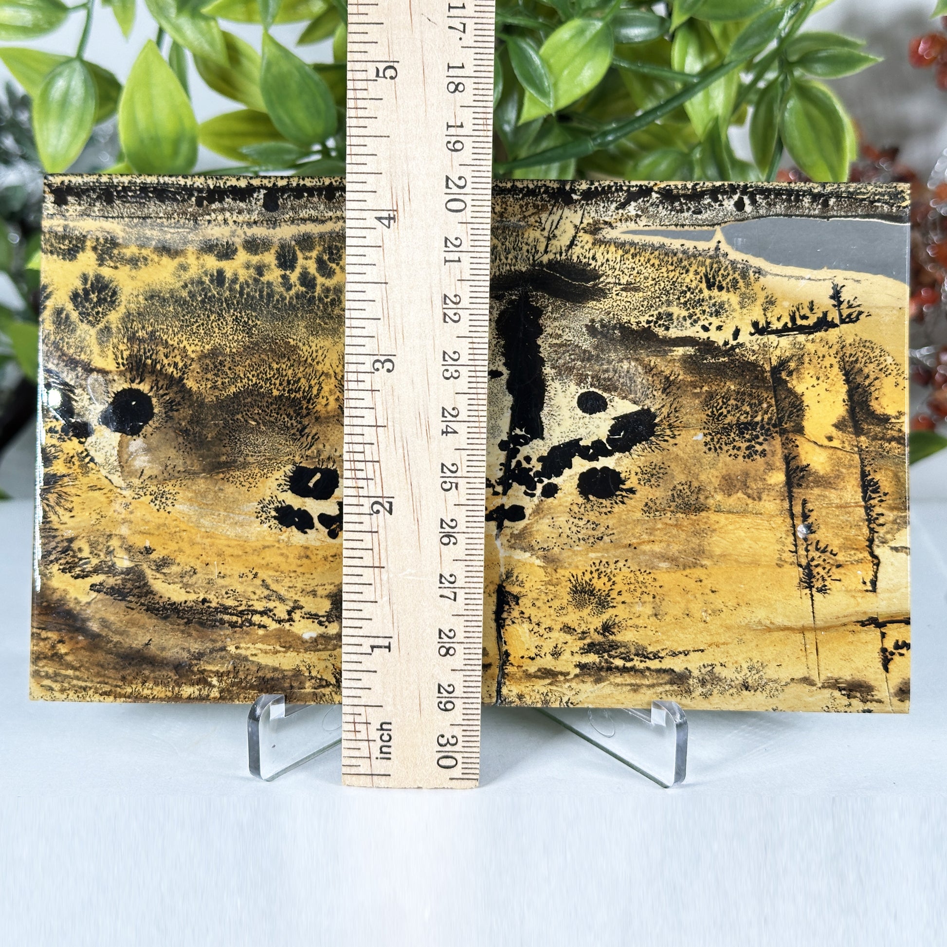 Natural Polished Picture Jasper Slab - Gem Avenue Retail