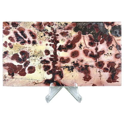 Natural Polished Picture Jasper Slab - Gem Avenue Retail