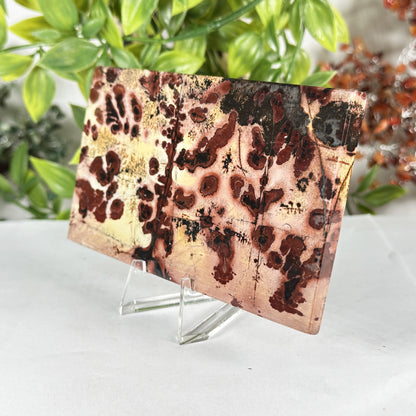 Natural Polished Picture Jasper Slab - Gem Avenue Retail