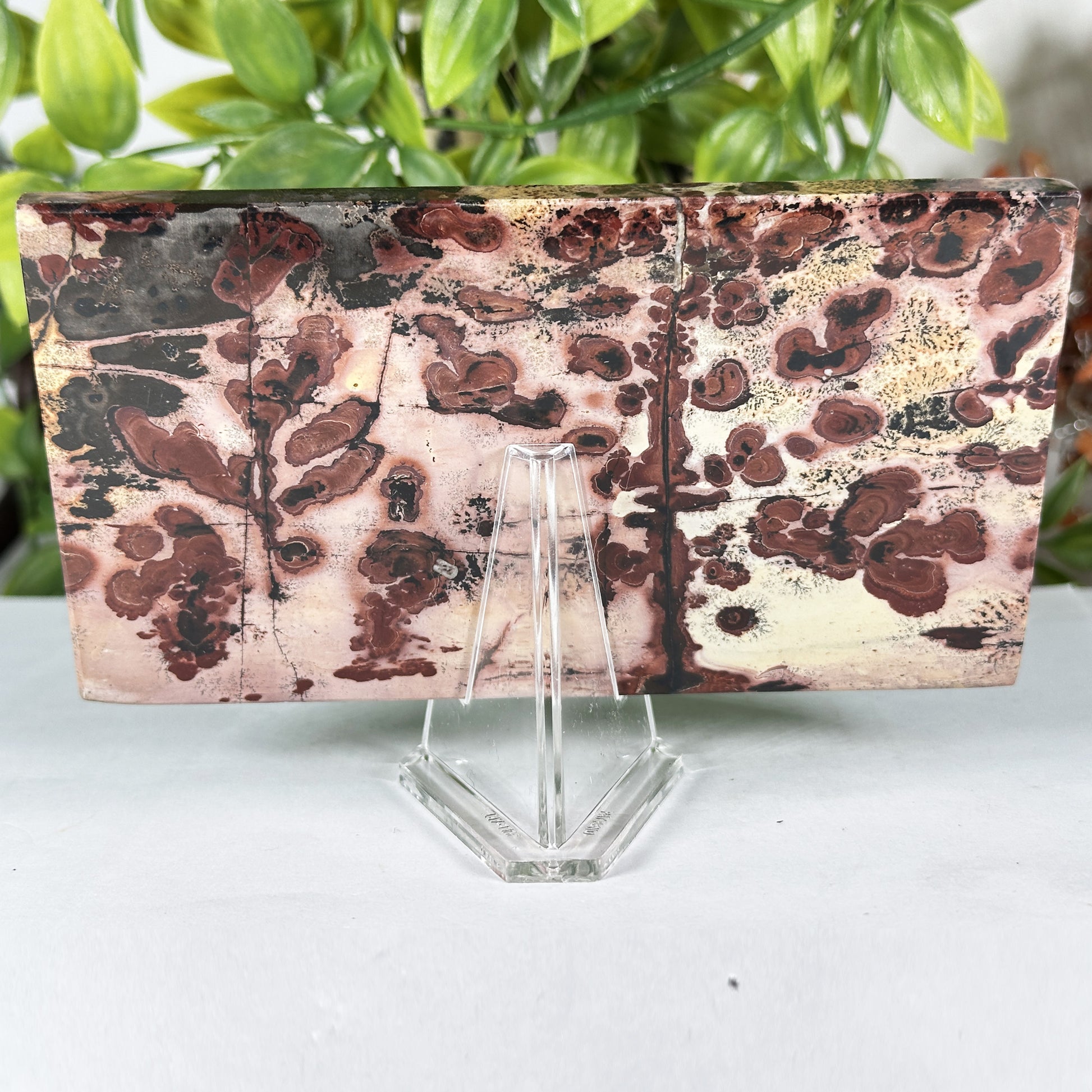 Natural Polished Picture Jasper Slab - Gem Avenue Retail