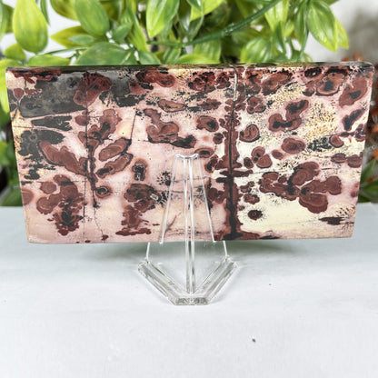 Natural Polished Picture Jasper Slab - Gem Avenue Retail