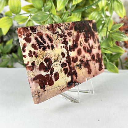 Natural Polished Picture Jasper Slab - Gem Avenue Retail
