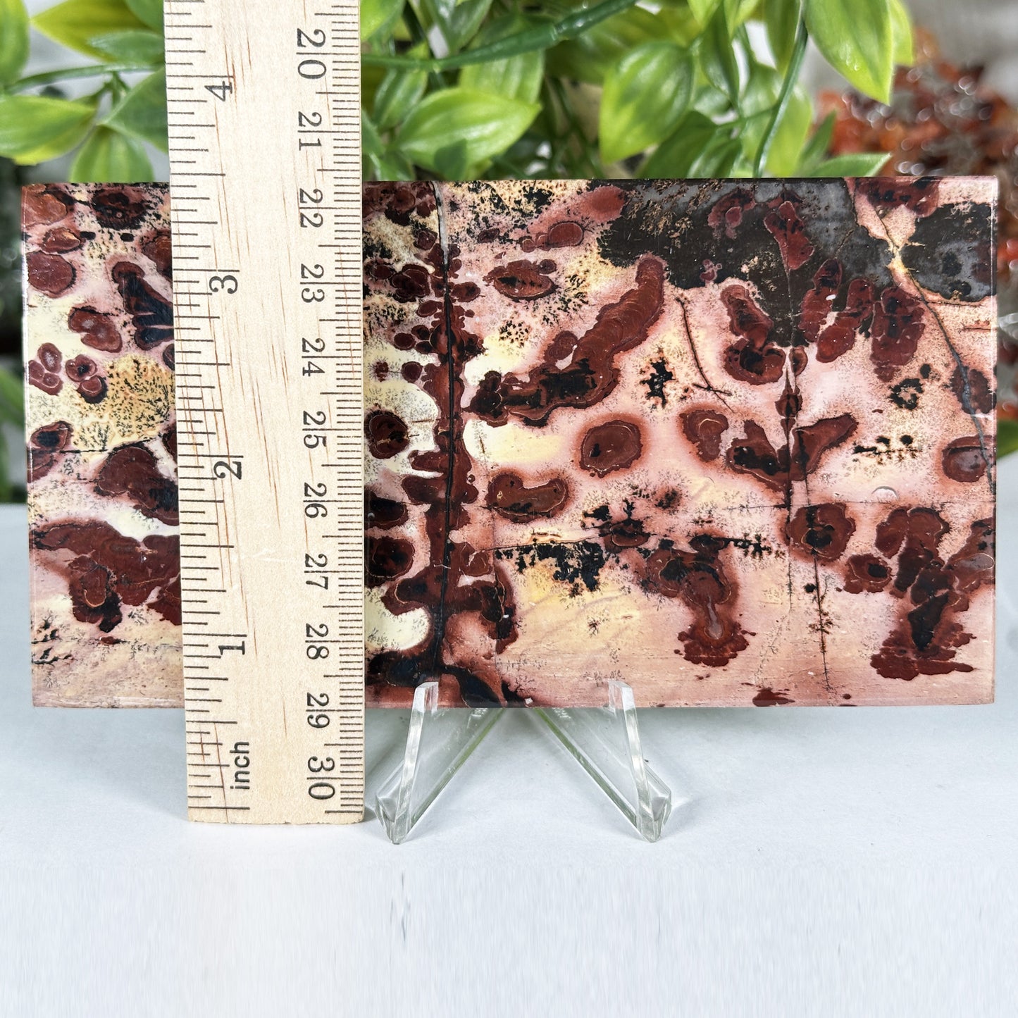 Natural Polished Picture Jasper Slab - Gem Avenue Retail