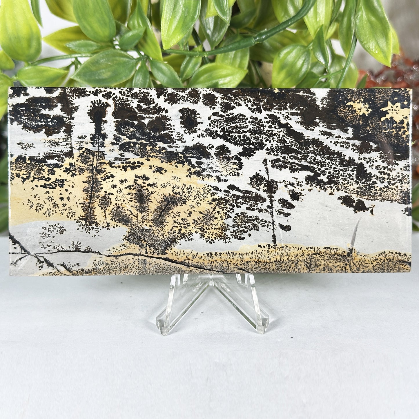 Natural Polished Picture Jasper Slab - Gem Avenue Retail