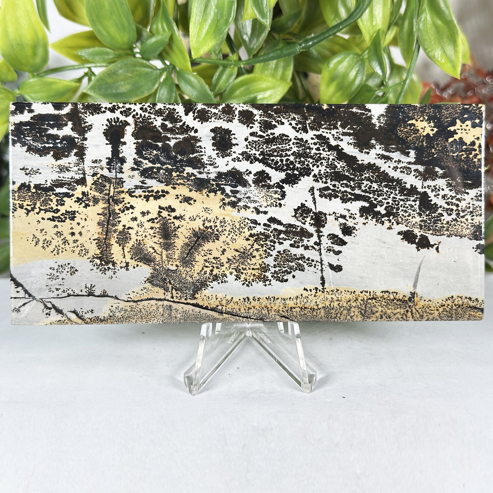 Natural Polished Picture Jasper Slab - Gem Avenue Retail