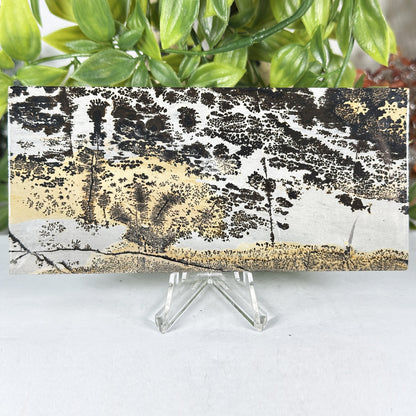 Natural Polished Picture Jasper Slab - Gem Avenue Retail