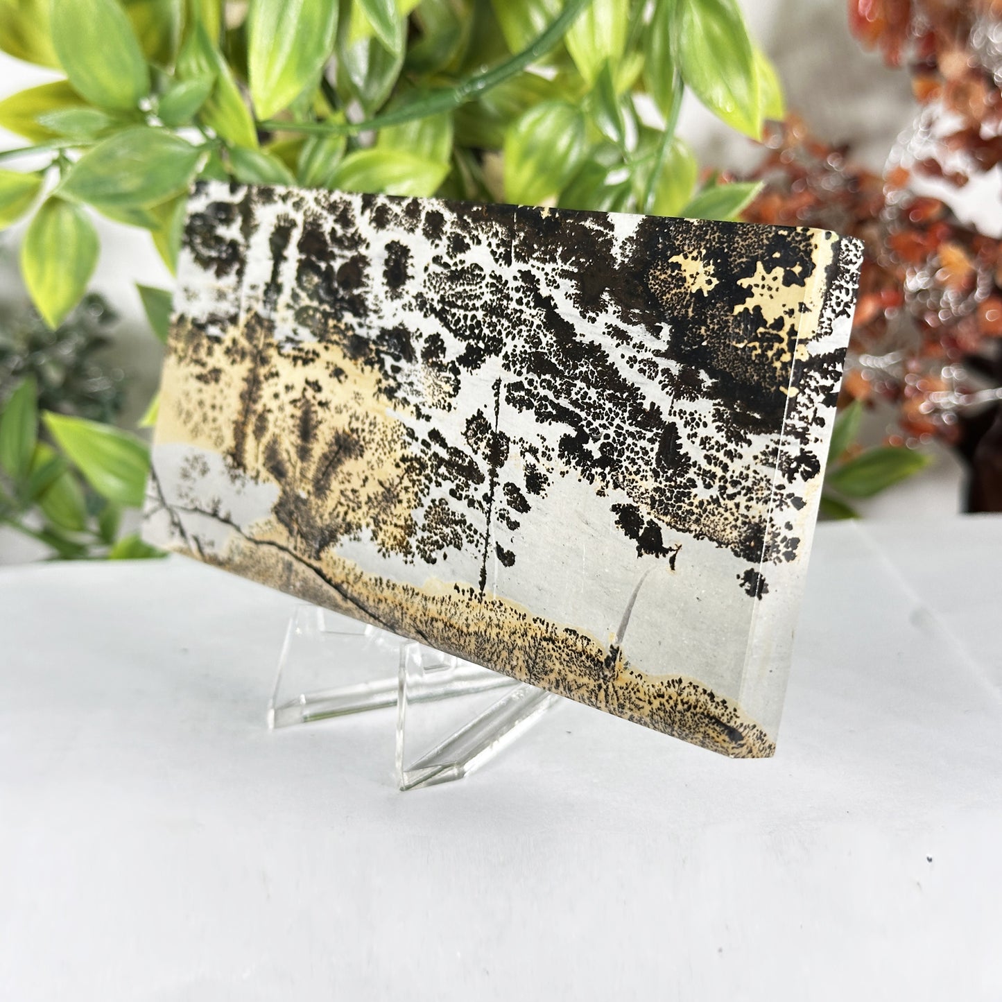 Natural Polished Picture Jasper Slab - Gem Avenue Retail