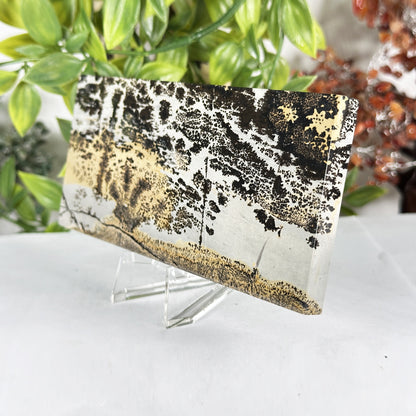 Natural Polished Picture Jasper Slab - Gem Avenue Retail