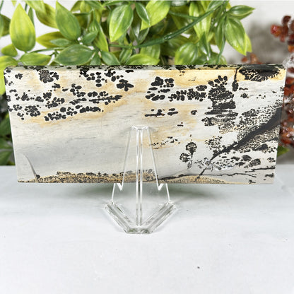Natural Polished Picture Jasper Slab - Gem Avenue Retail