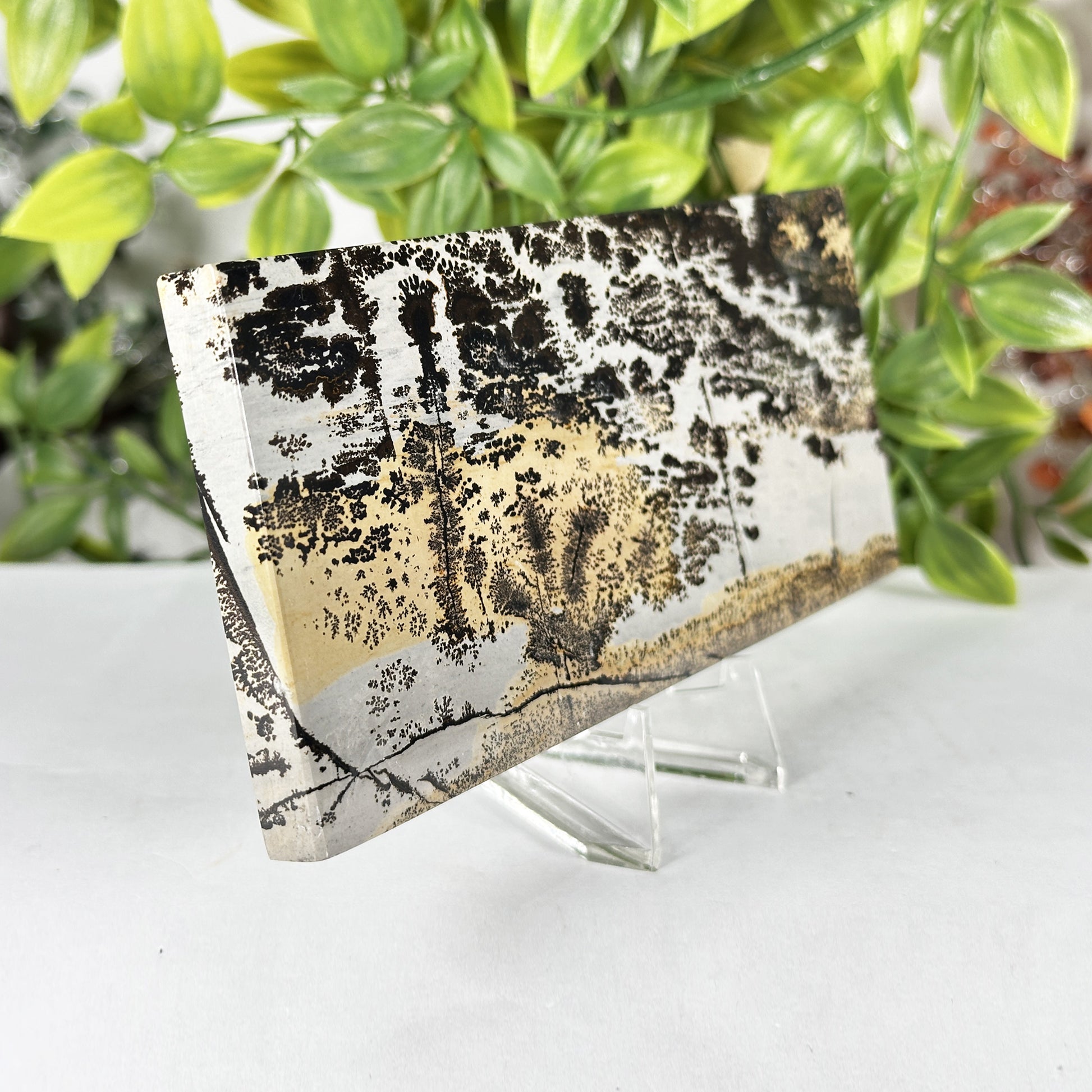 Natural Polished Picture Jasper Slab - Gem Avenue Retail