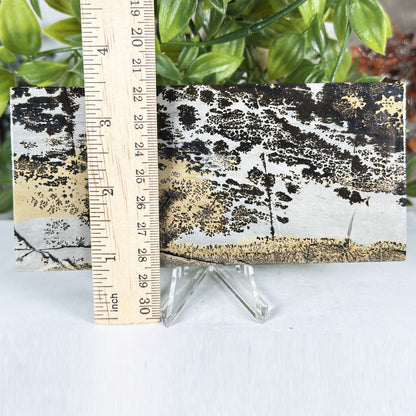 Natural Polished Picture Jasper Slab - Gem Avenue Retail