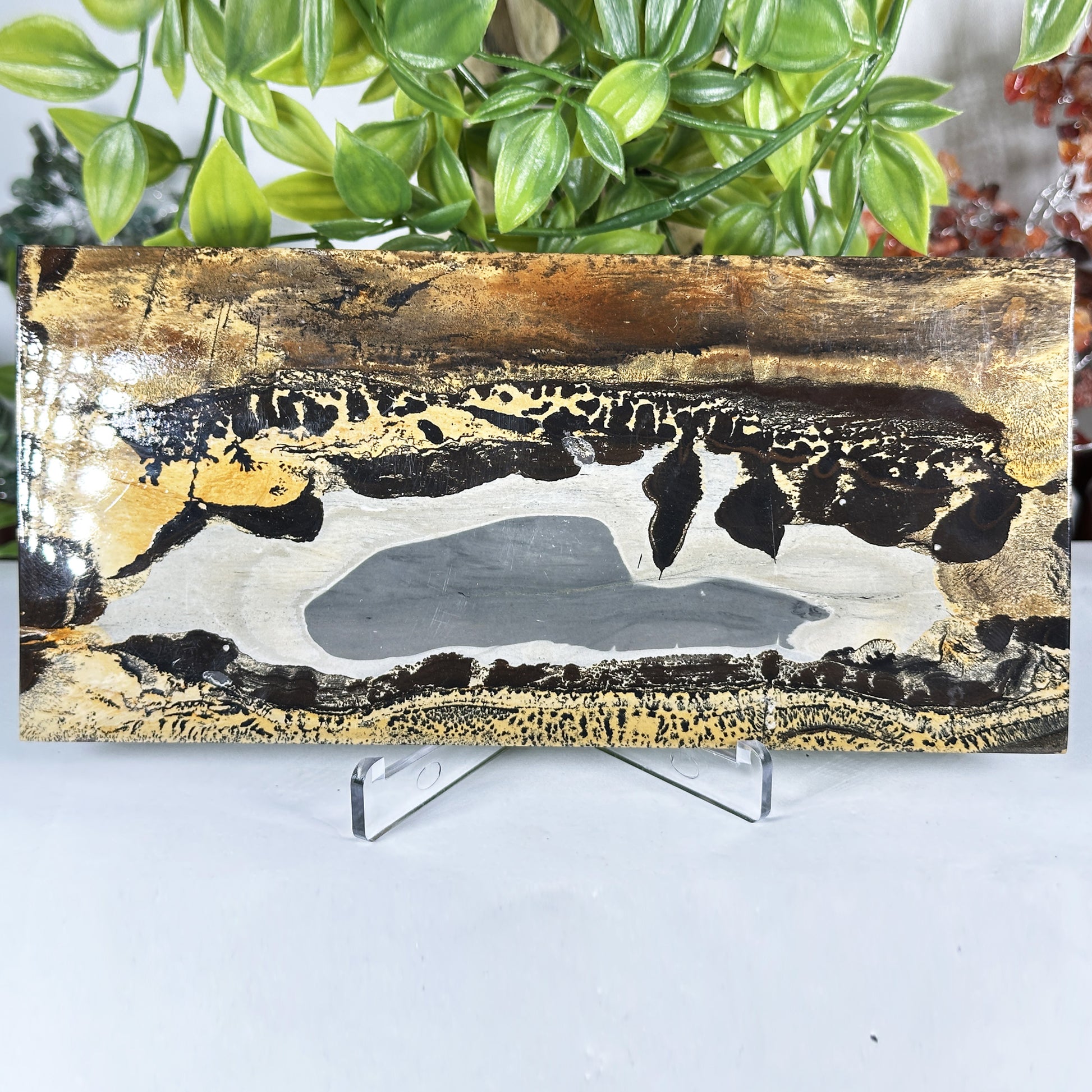 Natural Polished Picture Jasper Slab - Gem Avenue Retail