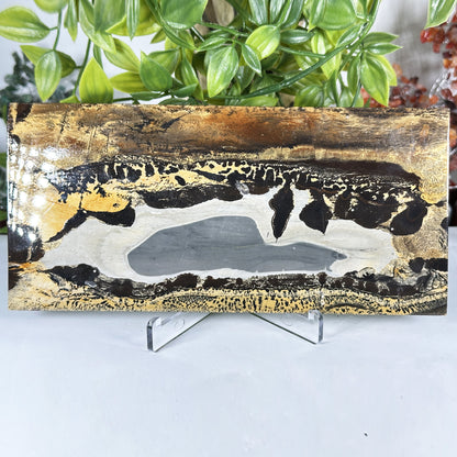 Natural Polished Picture Jasper Slab - Gem Avenue Retail