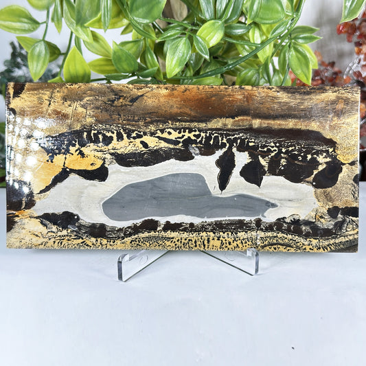 Natural Polished Picture Jasper Slab - Gem Avenue Retail