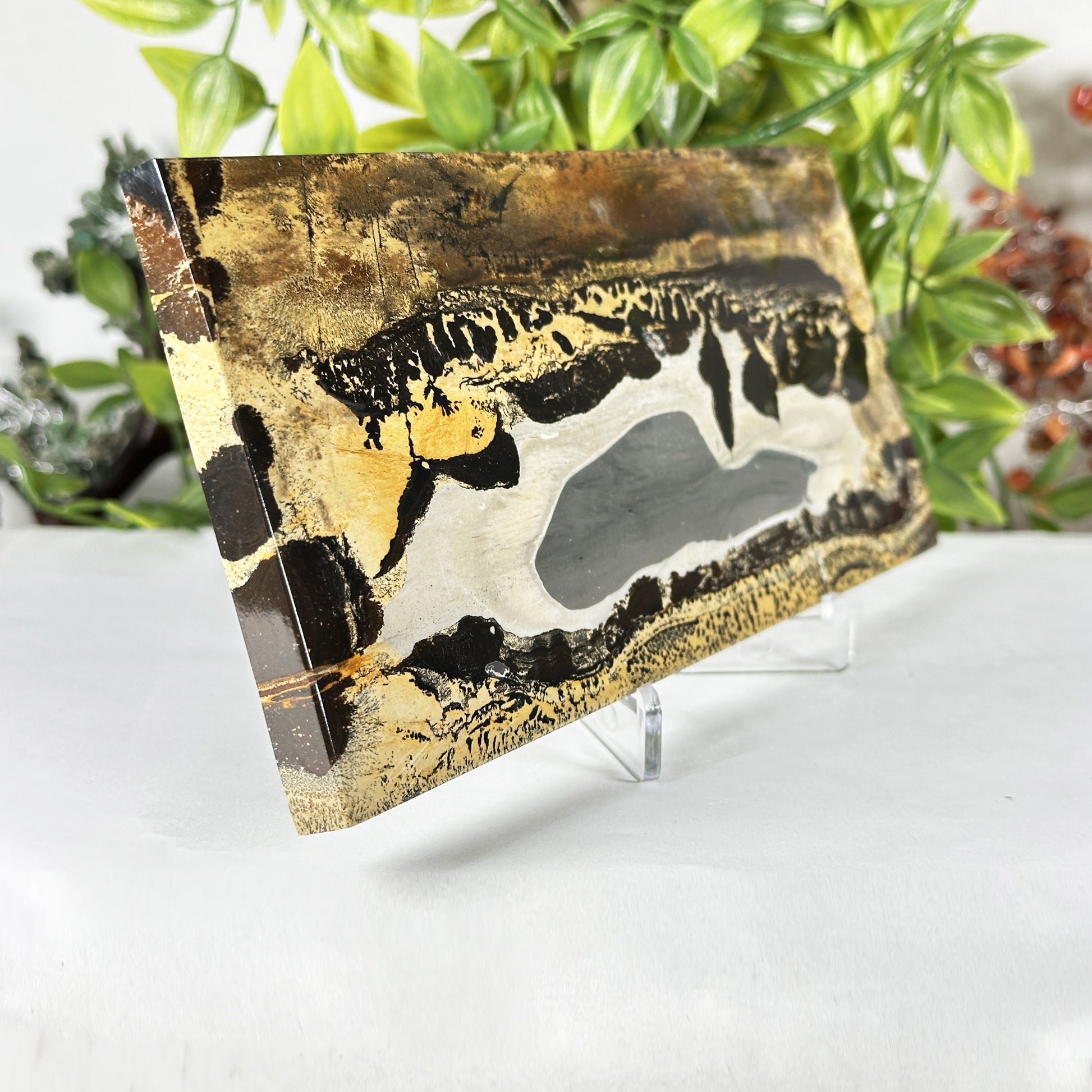 Natural Polished Picture Jasper Slab - Gem Avenue Retail
