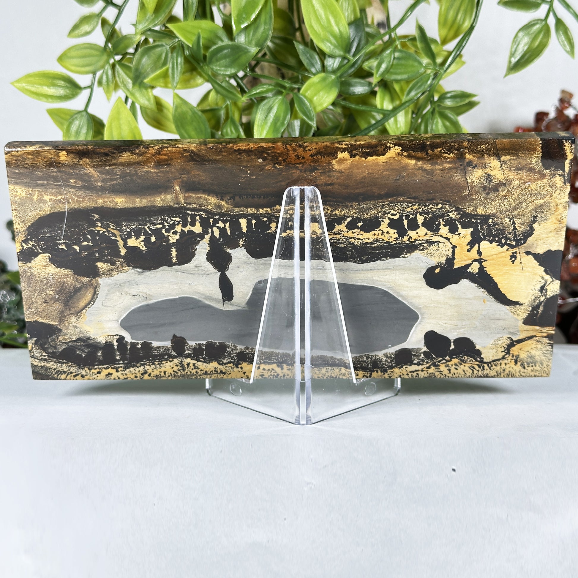 Natural Polished Picture Jasper Slab - Gem Avenue Retail