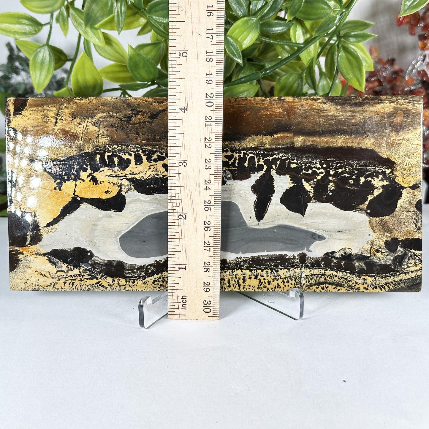Natural Polished Picture Jasper Slab - Gem Avenue Retail