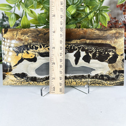 Natural Polished Picture Jasper Slab - Gem Avenue Retail