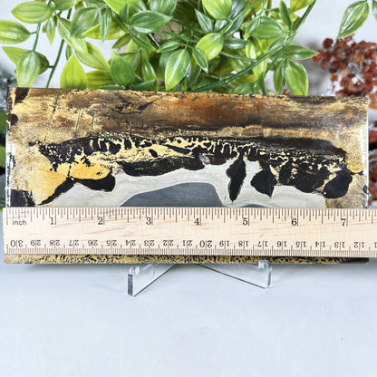 Natural Polished Picture Jasper Slab - Gem Avenue Retail
