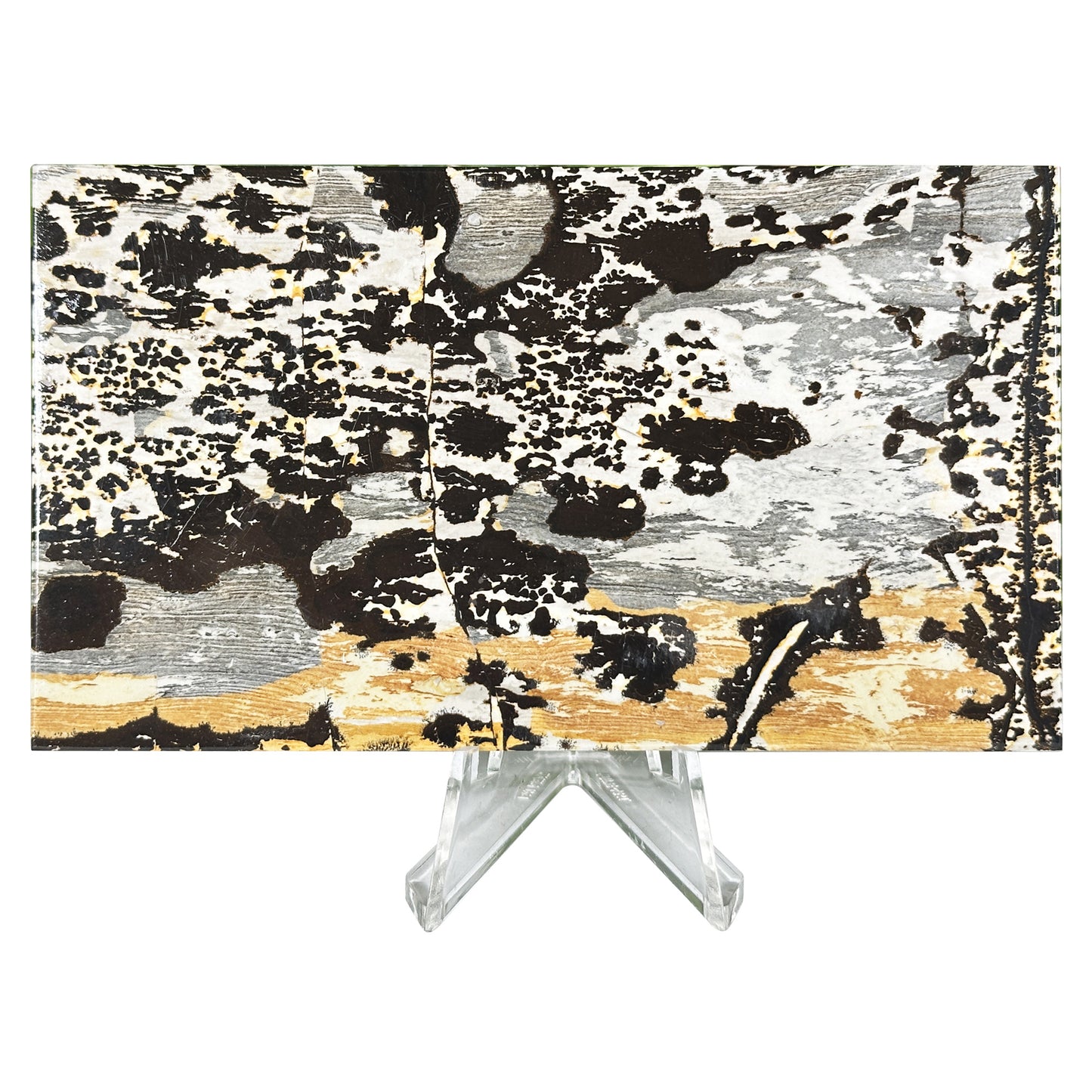 Natural Picture Jasper Slab - Gem Avenue Retail