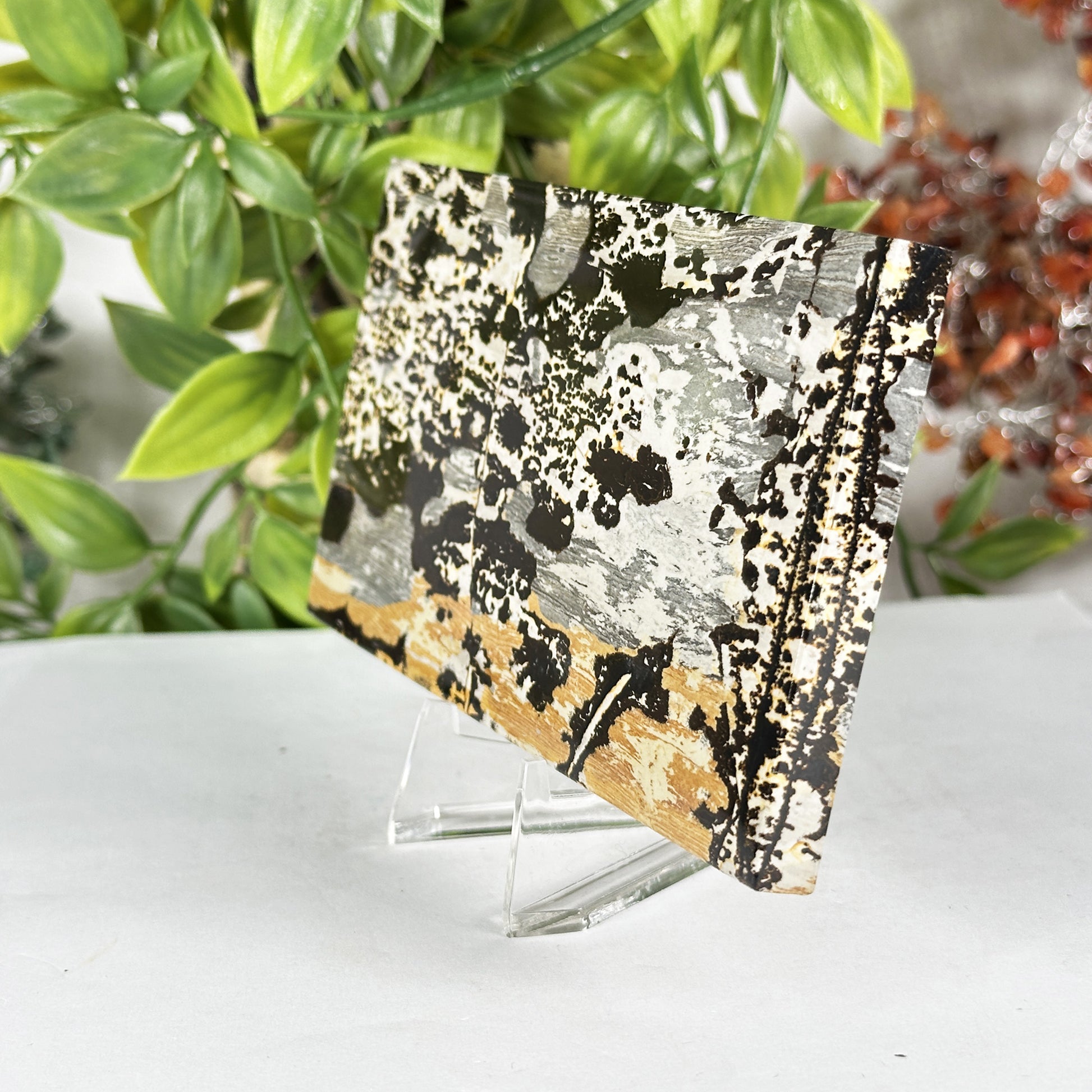 Natural Picture Jasper Slab - Gem Avenue Retail