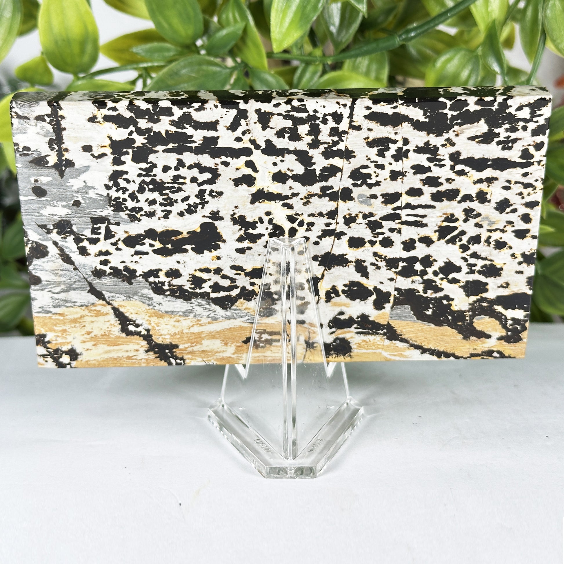 Natural Picture Jasper Slab - Gem Avenue Retail