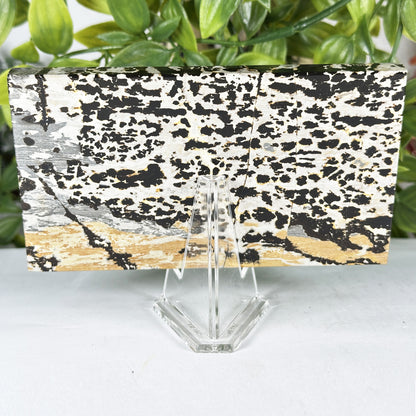 Natural Picture Jasper Slab - Gem Avenue Retail