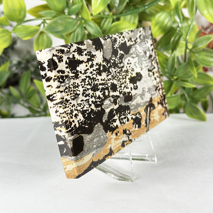 Natural Picture Jasper Slab - Gem Avenue Retail