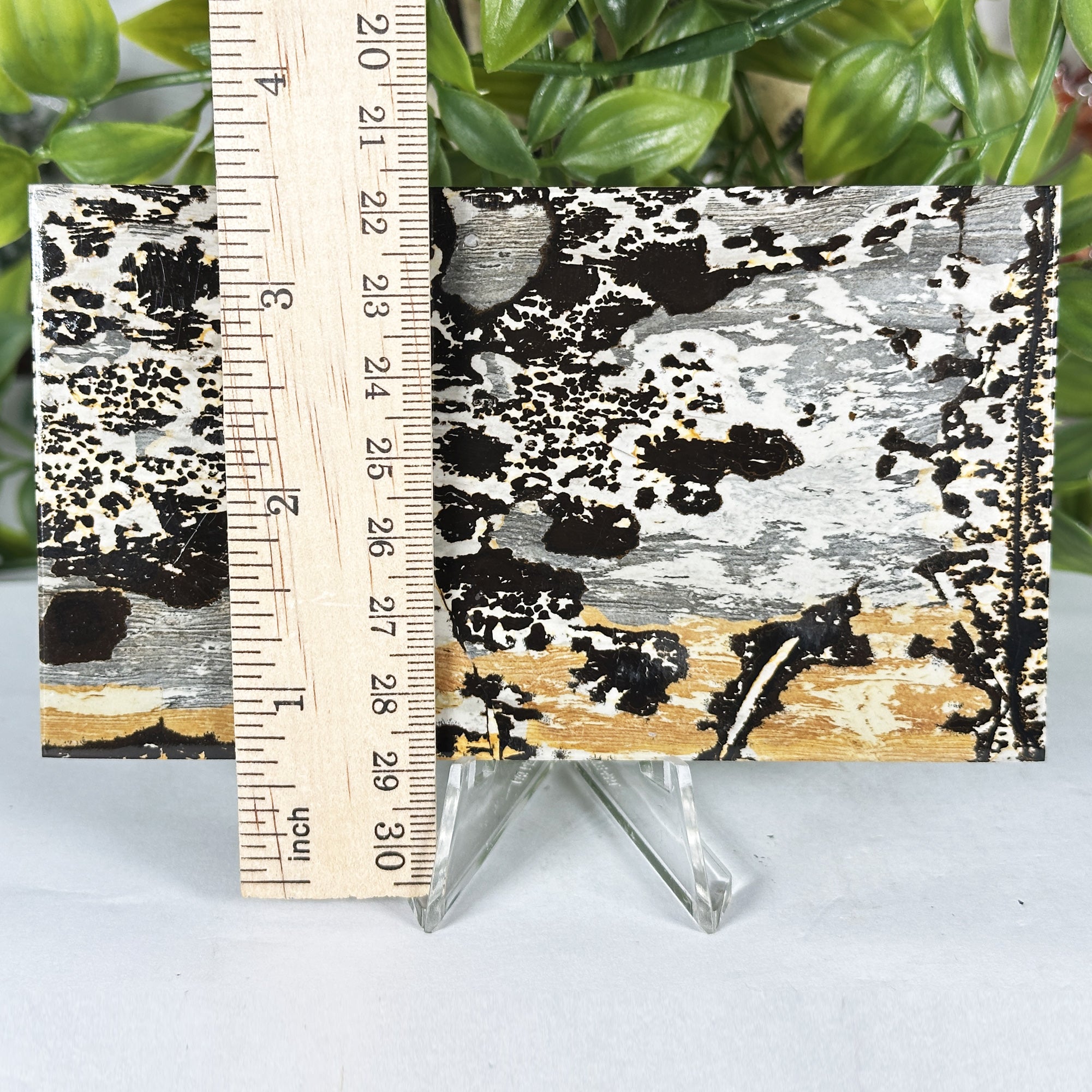 Picture Jasper Slab Natural Scenic Pattern Stone RSL103 – Gem Avenue