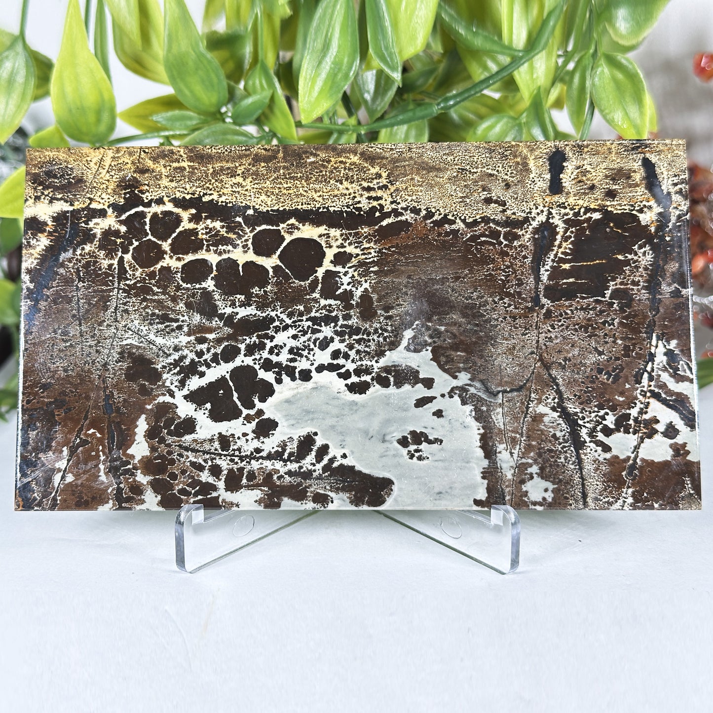 Natural Picture Jasper Slab - Gem Avenue Retail