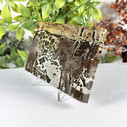 Natural Picture Jasper Slab - Gem Avenue Retail