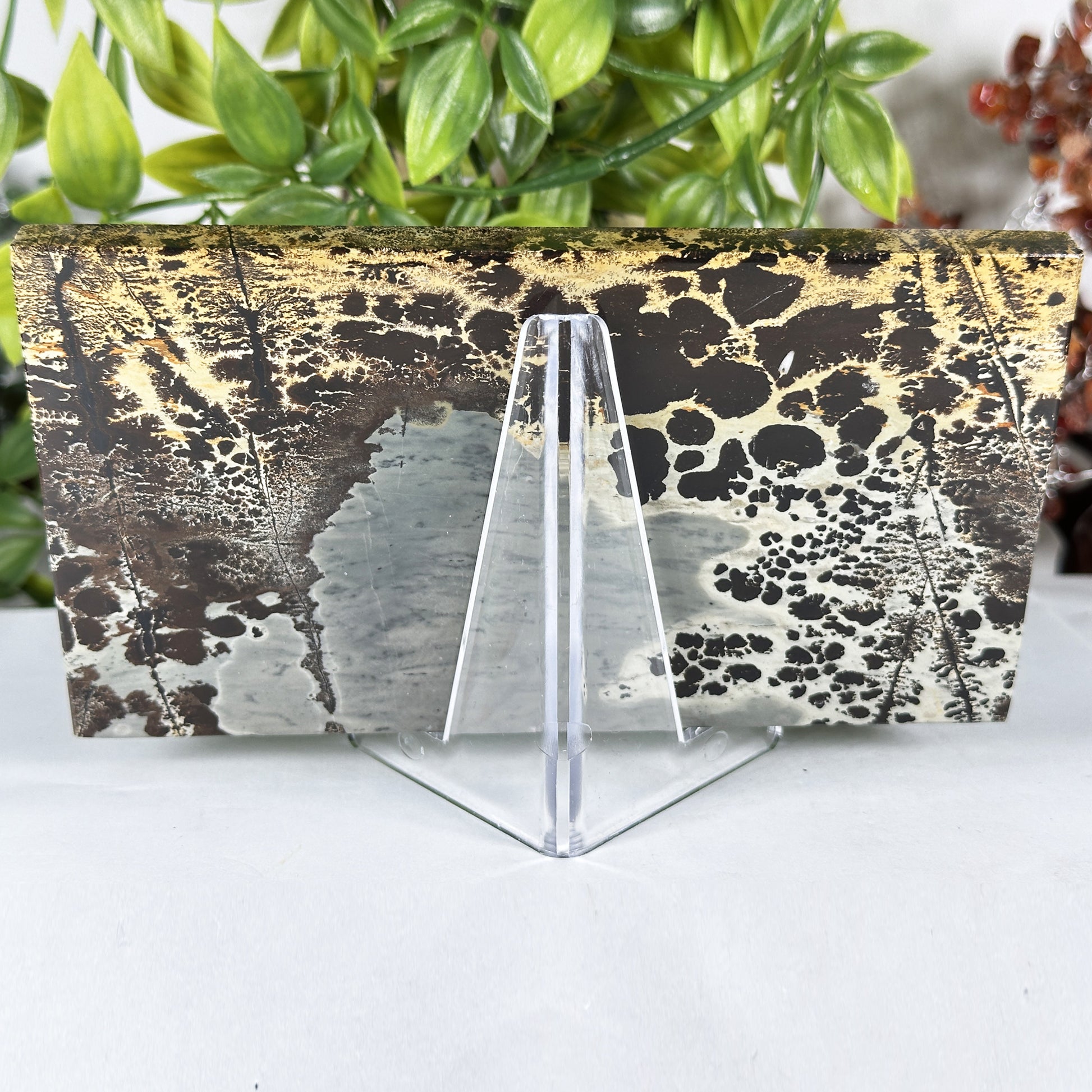 Natural Picture Jasper Slab - Gem Avenue Retail