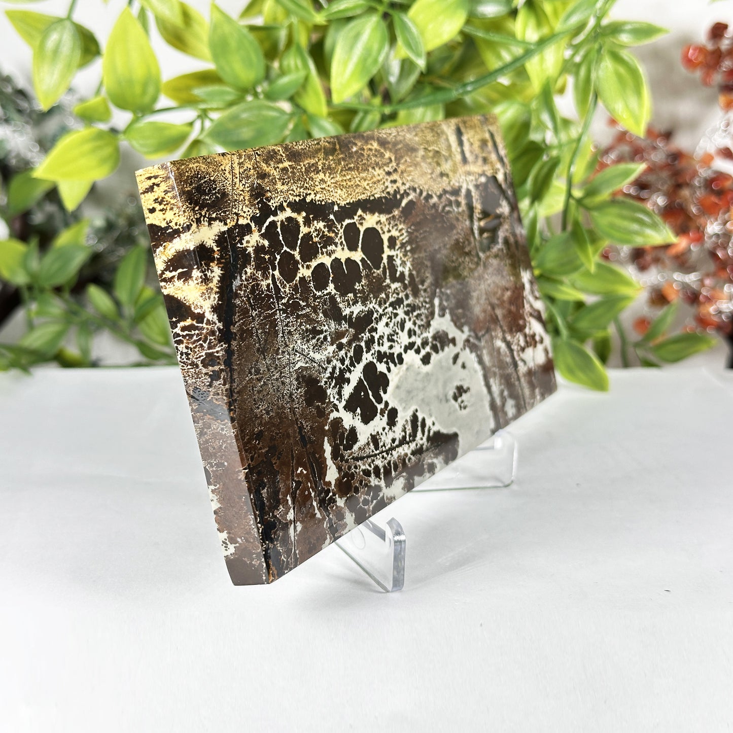 Natural Picture Jasper Slab - Gem Avenue Retail