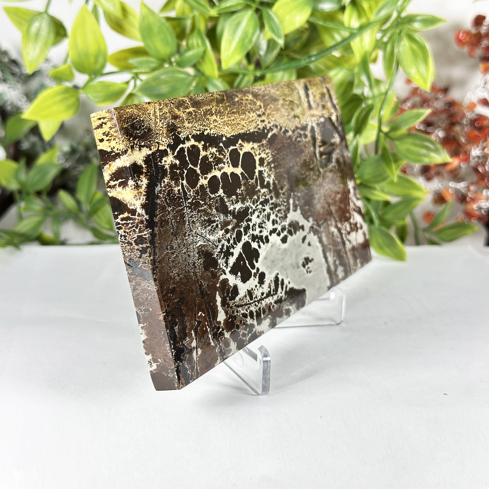 Natural Picture Jasper Slab - Gem Avenue Retail